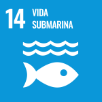 https://www.un.org/sustainabledevelopment/es/wp-content/uploads/sites/3/2019/09/S-WEB-Goal-14.png